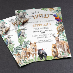 Animal Selvagem Australiano Um Canguru de Aniversá