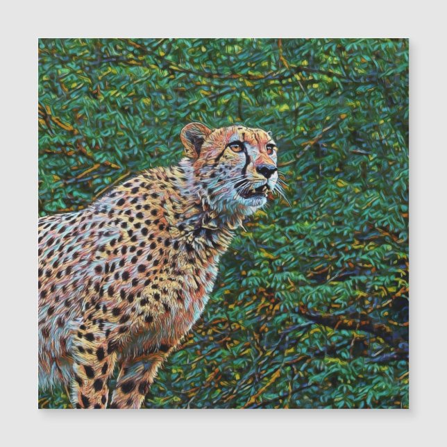 animal smartmix- chita 6 (Frente)