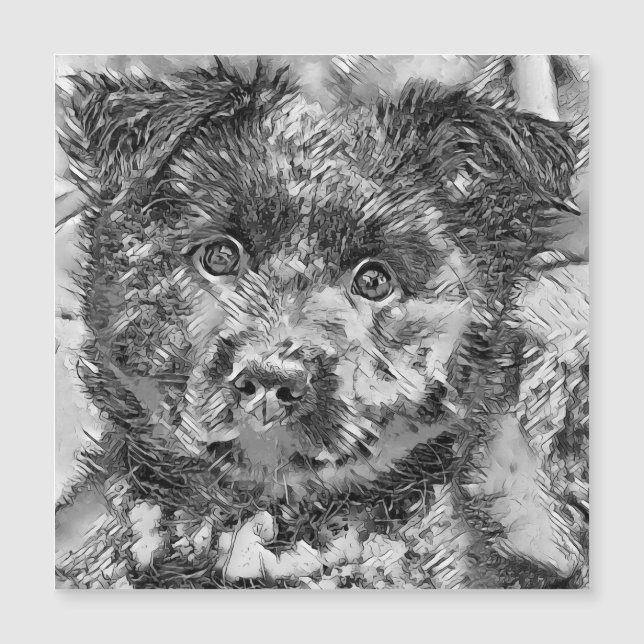 AnimalArtBW_Cachorro_005 (Frente)