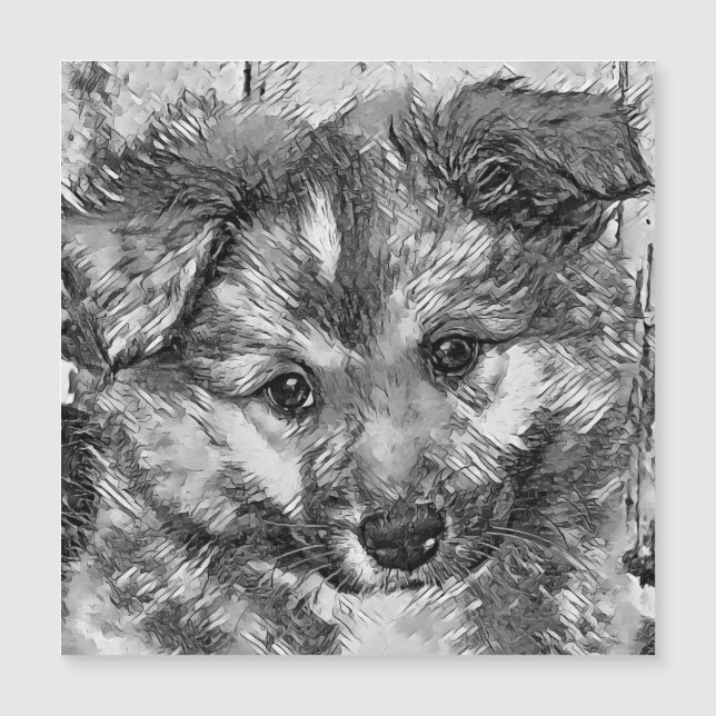 AnimalArtBW_Cachorro_010 (Frente)