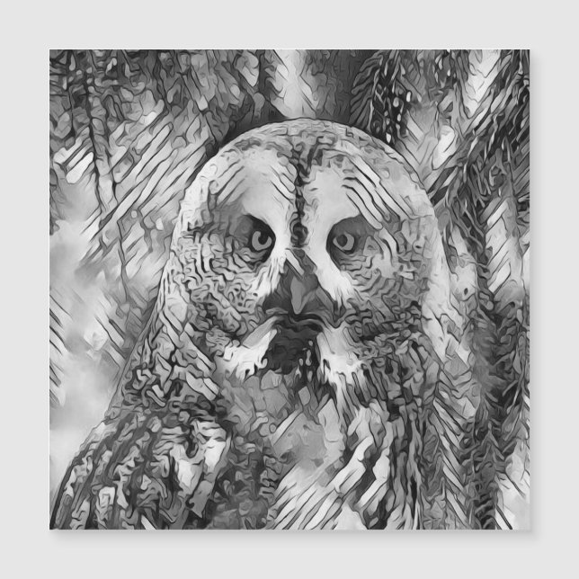 AnimalArtBW_Owl_001 (Frente)