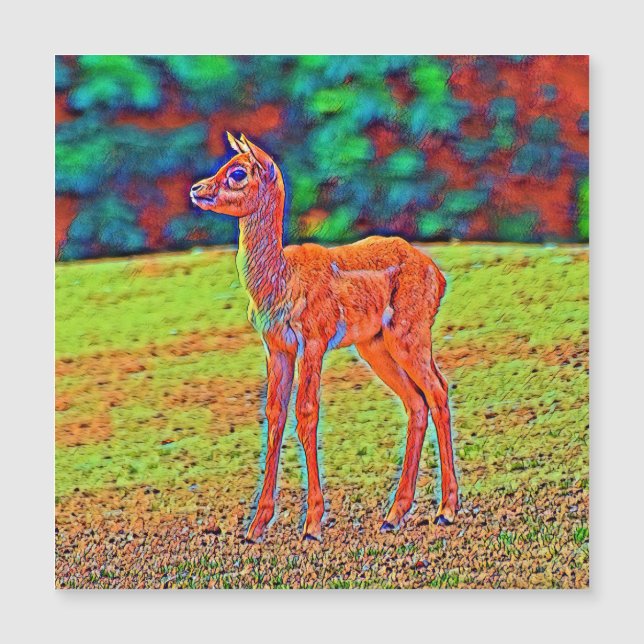 AnimalColor_Antilope_001 (Frente)