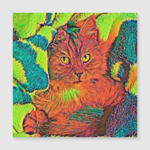 AnimalColor_Cat_005