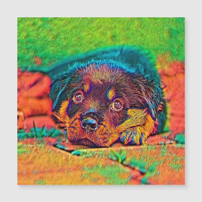 AnimalColor_Dog_002 (Frente)