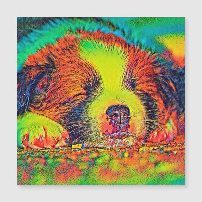 AnimalColor_Dog_017 (Frente)