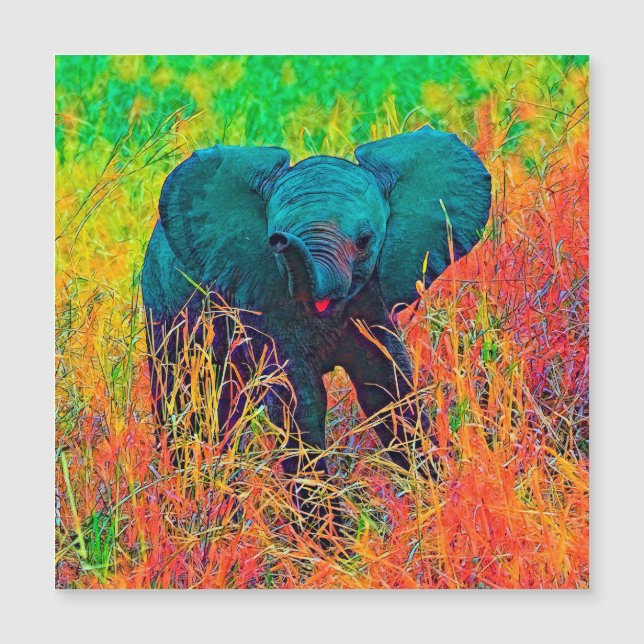 AnimalColor_Elephant_002 (Frente)