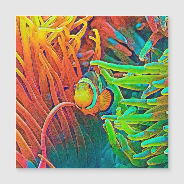 AnimalColor_Fish_001 (Frente)