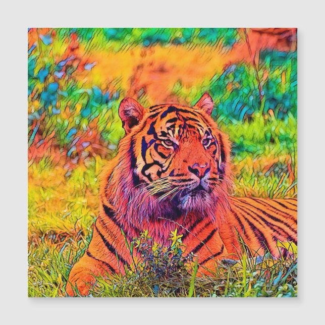 AnimalColor_Tiger_002 (Frente)