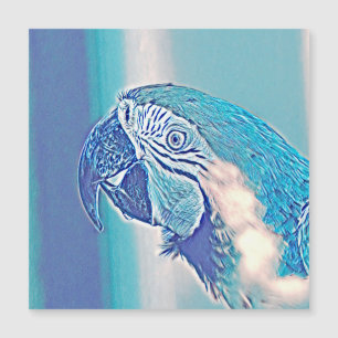 AnimalMix_Bird_009