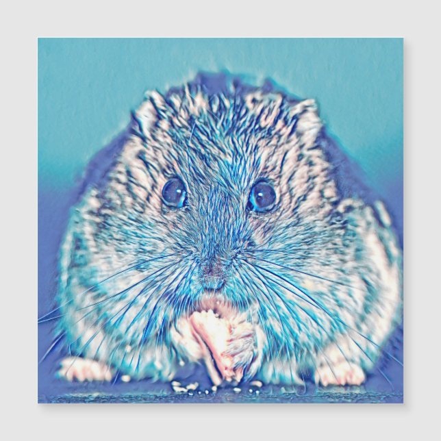 AnimalMix_Hamster_003 (Frente)