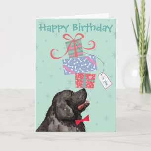 Aniversário Apresenta Cartão Terra Nova