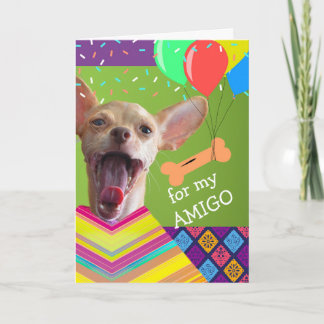 Aniversário bonito de Chihuahua para um Cartão Bis