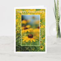 Aniversário - cartão de olhos pretos de Susans