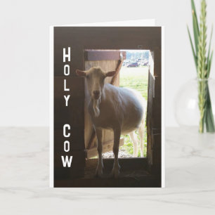 "aniversário de 40 anos? SÓ NÃO ACREDITO NO Cartão