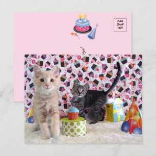 Aniversário Mais Feliz - Cartão Postal de Gato
