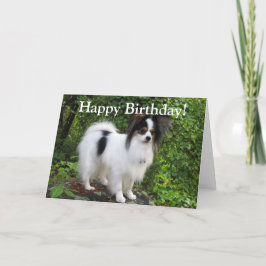 Aniversário ou cartão de Papillon