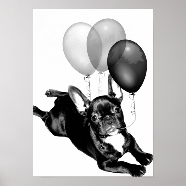 Aniversário - poster do Buldogue Francês (Frente)