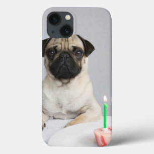 Aniversário Pug