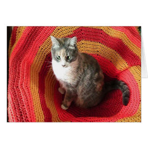Aniversário saudando gato no cartão de Cobrir af
