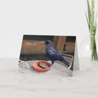 Aniversário, todos os cartões de saudação de corvo