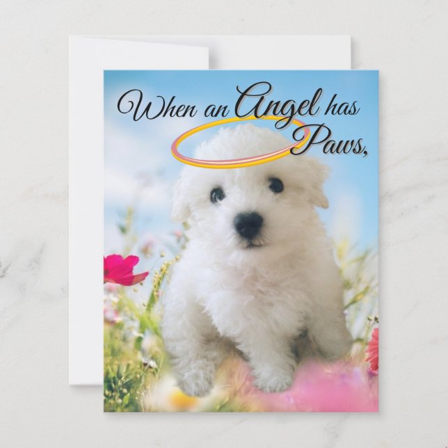 Anjo cachorrinho  (Frente)