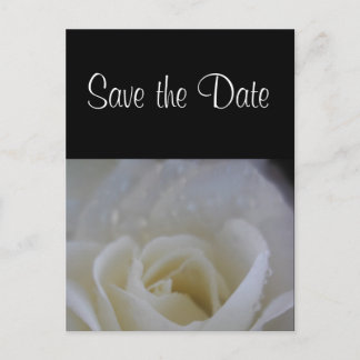 Anjo rosa salvar data anúncio de casamento