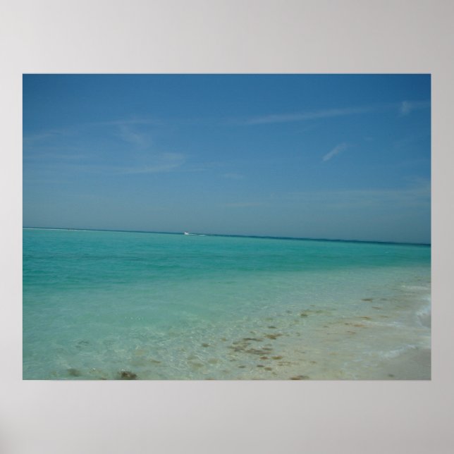 Anna Maria Island Poster (Frente)