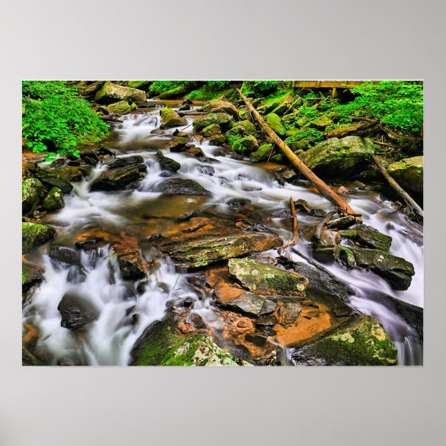 Anna Ruby Tumbles, Poster (Frente)