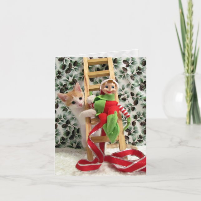 Annie e Elf - Cartão de Natal Gato / Gatinho (Frente)