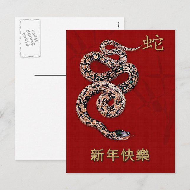 Ano chinês dos cartões postais Cobra em chinês (Frente/Verso)