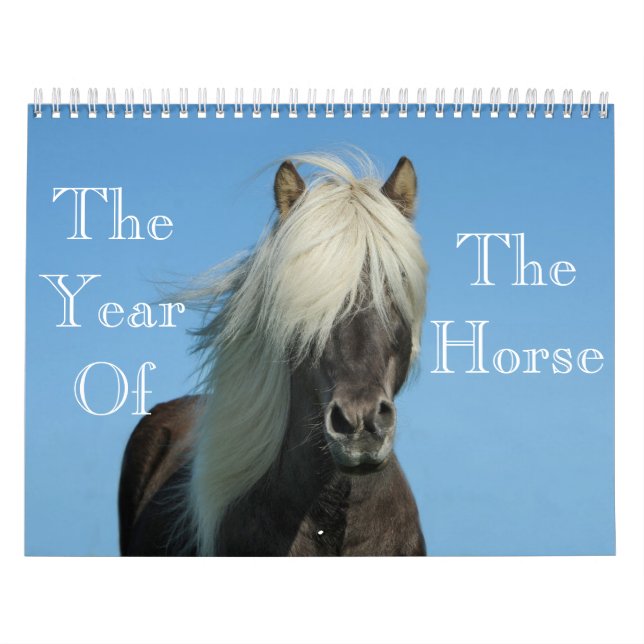 Ano Do Calendário Do Cavalo (Capa)