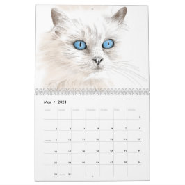 Ano do calendário dos desenhos dos gatos