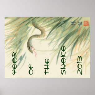 Ano do poster do cobra