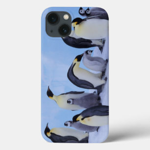 Antártida, Pinguins Imperadores