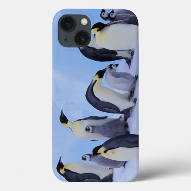 Antártida, Pinguins Imperadores (Verso)