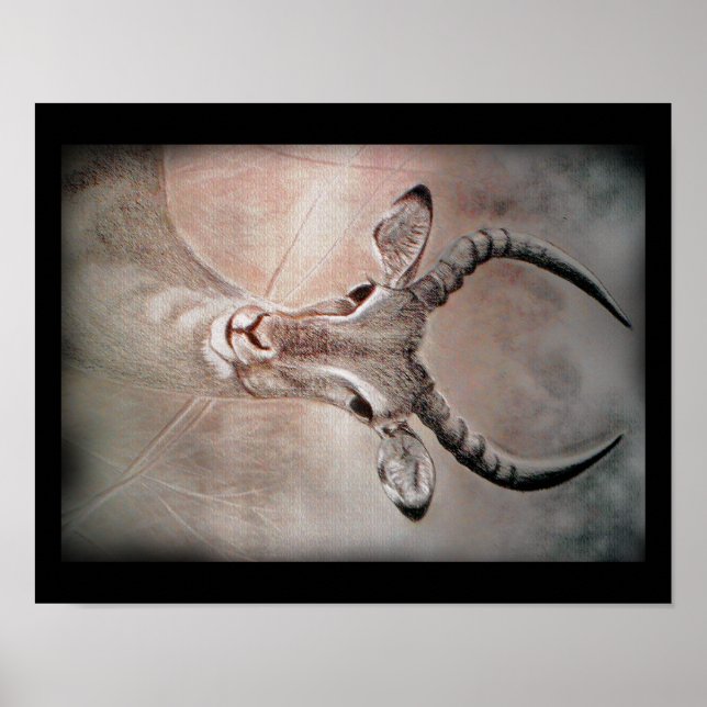 Antelope Art Poster (Frente)