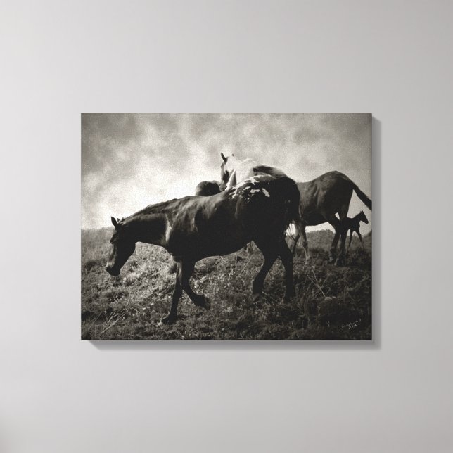 Antes da Canvas de Tempestade (Frente)