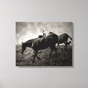 Antes das canvas da tempestade