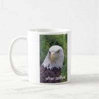 antes do café, após a caneca de café