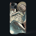 Anthologia Seashell<br><div class="desc">Este trabalho de arte do Vision Studio captura alguns dos melhores oceanos da vida marinha. Pegue este pedaço rústico de trabalho de arte destas diferentes formas e tamanhos de conchas de Conch. Esta é uma peça única de trabalho de arte destas peças de Anthologia de Seashell.</div>