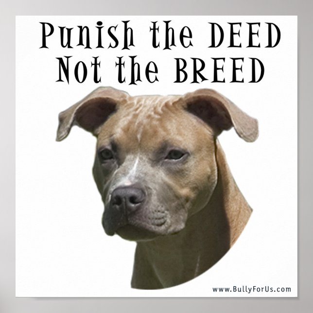 Anti-BSL Punir o Deed, não o Poster de Breed (Frente)