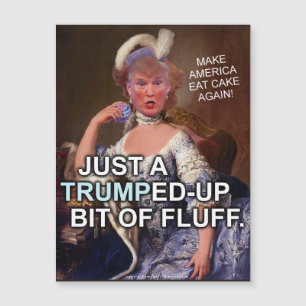 Anti eleição 2016 de Donald Trump Marie Antoinet
