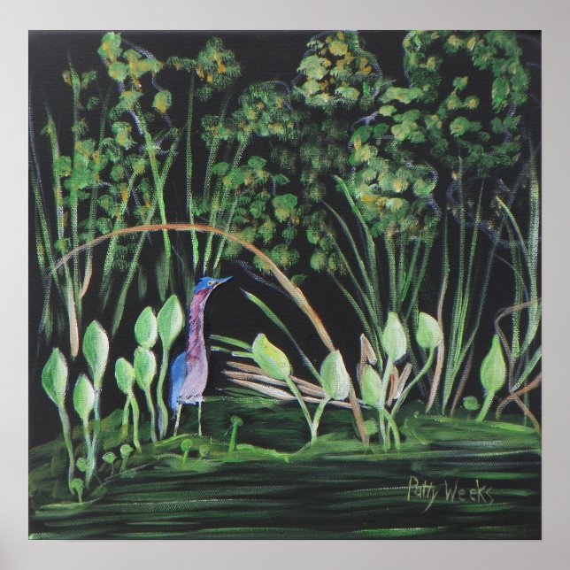 ANTIGA Poster DE AVES DE LAVAR FLORIDA (Frente)