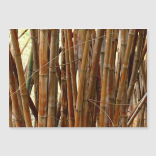 Antigo Bamboo