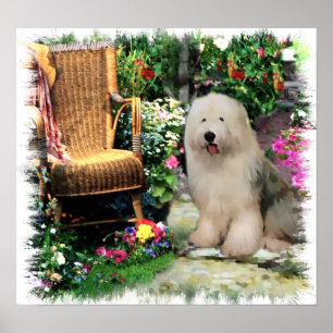 Antigo Impressão de Sheepdog Art
