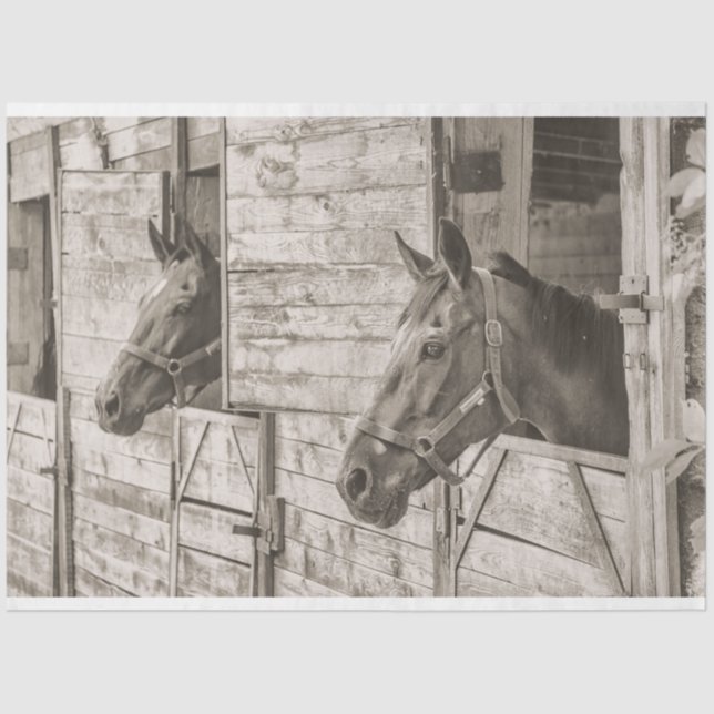 antigo papel tecidular estável para cavalos (Frente )