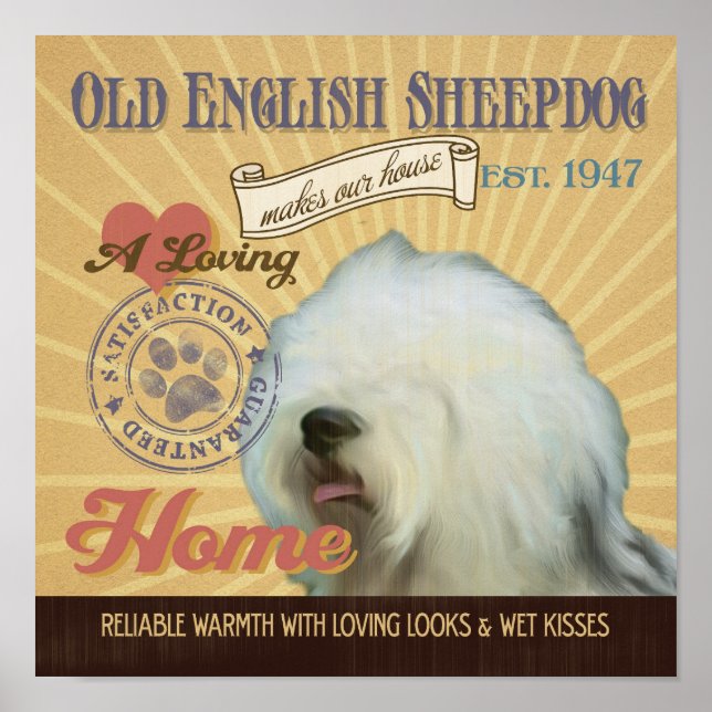 Antigo Sheepdog Dog Art Poster (Frente)