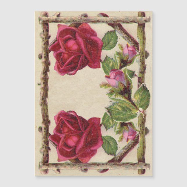 Antiguidade Vitorítica Vintage rosa rustica (Frente)