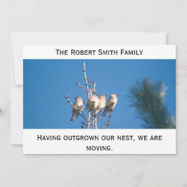 Anúncio - Acabou o nosso ninho...