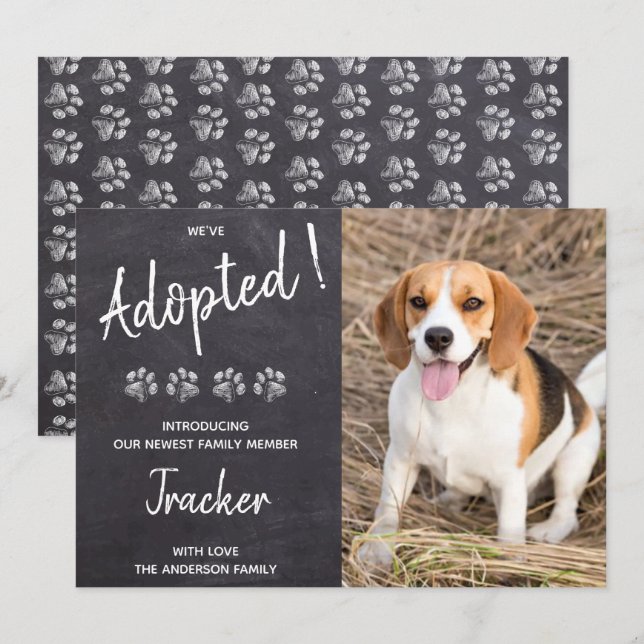 Anúncio Adotamos o resgate de cães novo Puppy Pet (Frente/Verso)